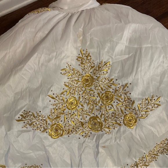 Quinceañera Adán Terriquez Additional Pictures Dress & Train Detail - Picture 14 of 17